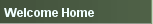 302_325363.png